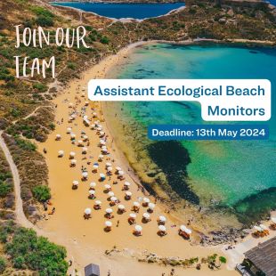 Join our team as Assistant Ecological Beach Monitor!